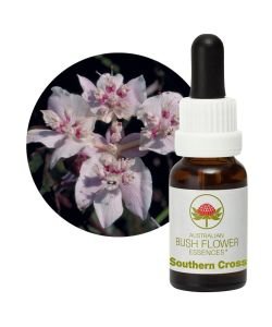Southern Cross, 15 ml